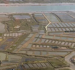oleron19.jpg