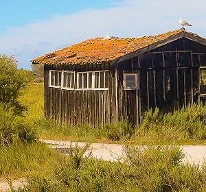 oleron14-2.jpg