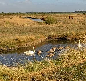 oleron24.jpg