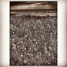 img_9014.jpg