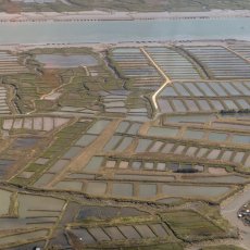 oleron19.jpg